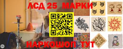 гидропоника Славгород