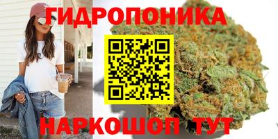 марки nbome Сланцы