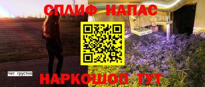 тгк Славянск-на-Кубани