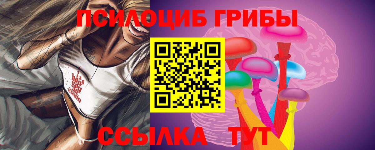 Галлюциногенные грибы Psilocybe  Вход с VPN  Нерюнгри  Галлюциногенные грибы прущие грибы 