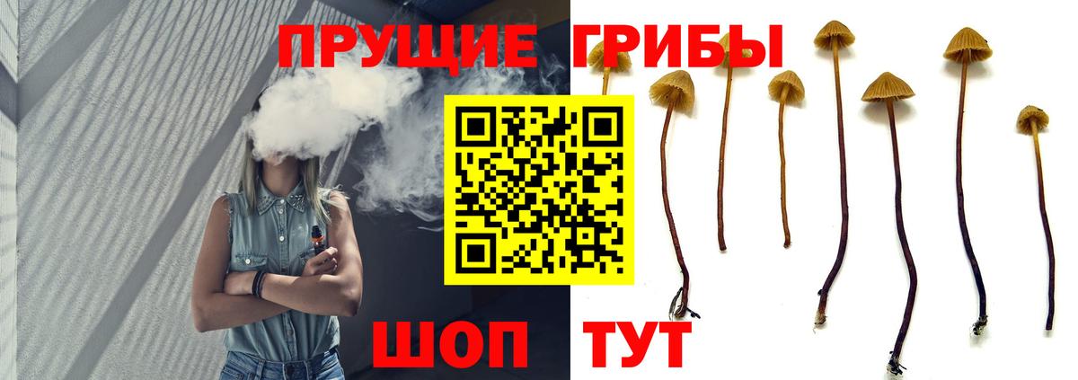 Галлюциногенные грибы Cubensis Нерюнгри
